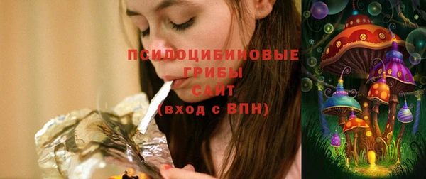сатива Мегион