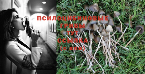 крисы Михайловск